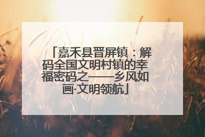嘉禾县晋屏镇：解码全国文明村镇的幸福密码之——乡风如画·文明领航